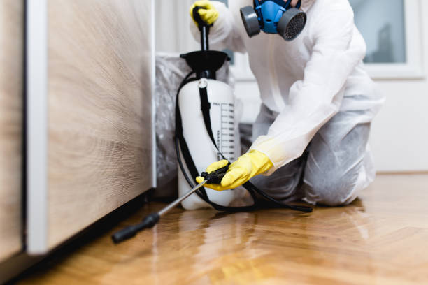 Pest Prevention Services in Mount Vernon, TX