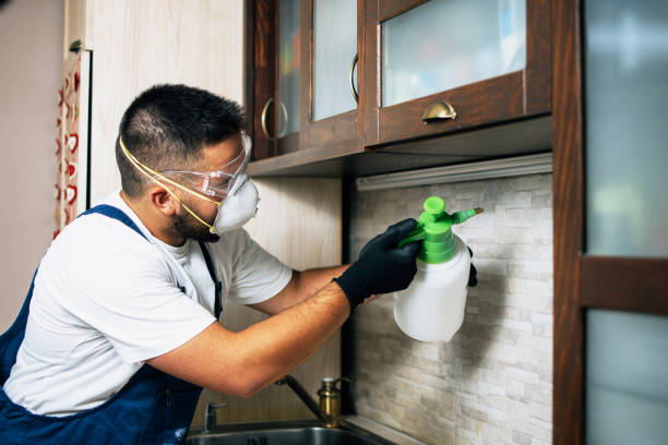 Best Pest Control Cost  in Mount Vernon, TX