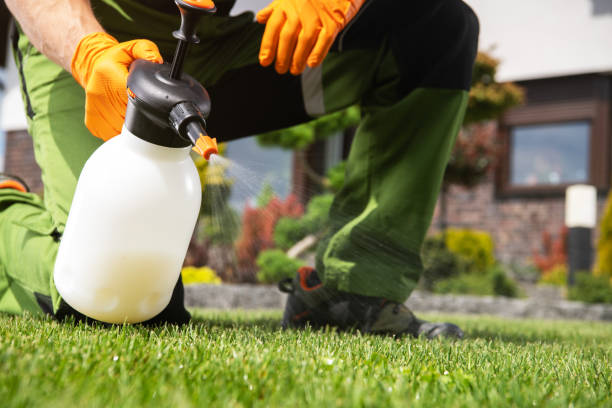 Best Commercial Pest Control Services  in Mount Vernon, TX