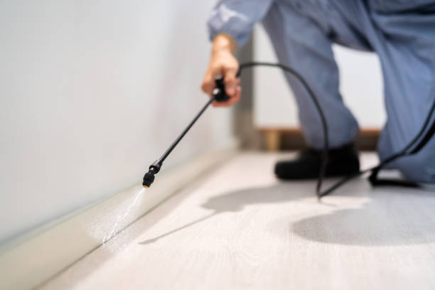 Professional Pest Control in Mount Vernon, TX