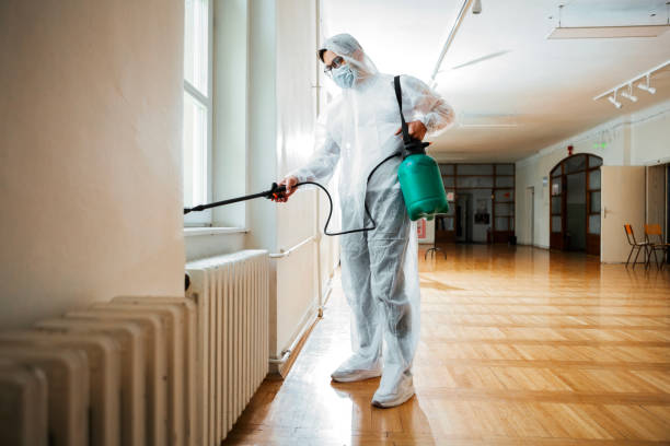 Best Pest Inspection Near Me  in Mount Vernon, TX